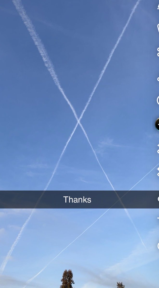 condorfliesdeep tweet media