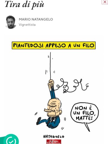 Nico Max Tedeschi tweet media