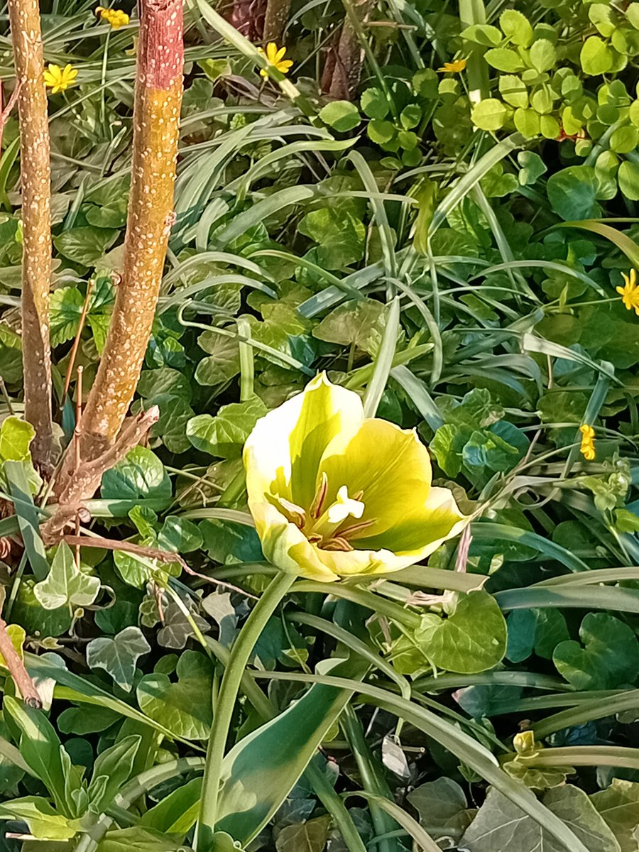 🌾🌞🌾 tweet media