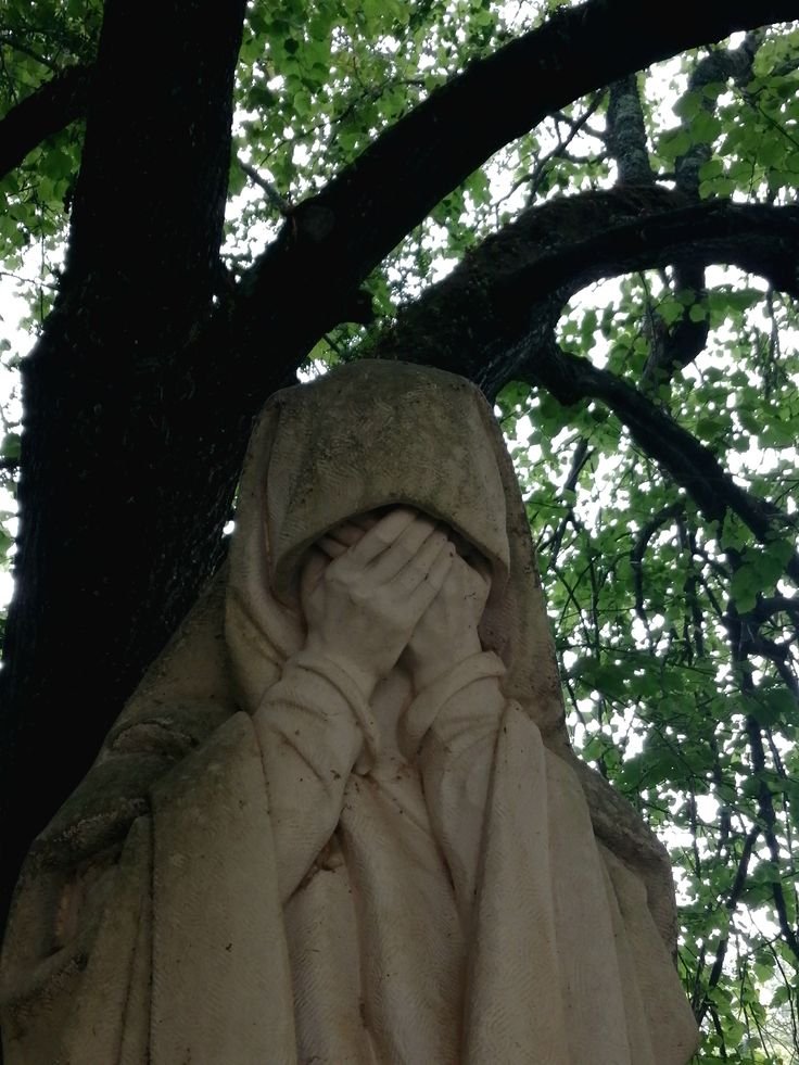 чёрная речка tweet media