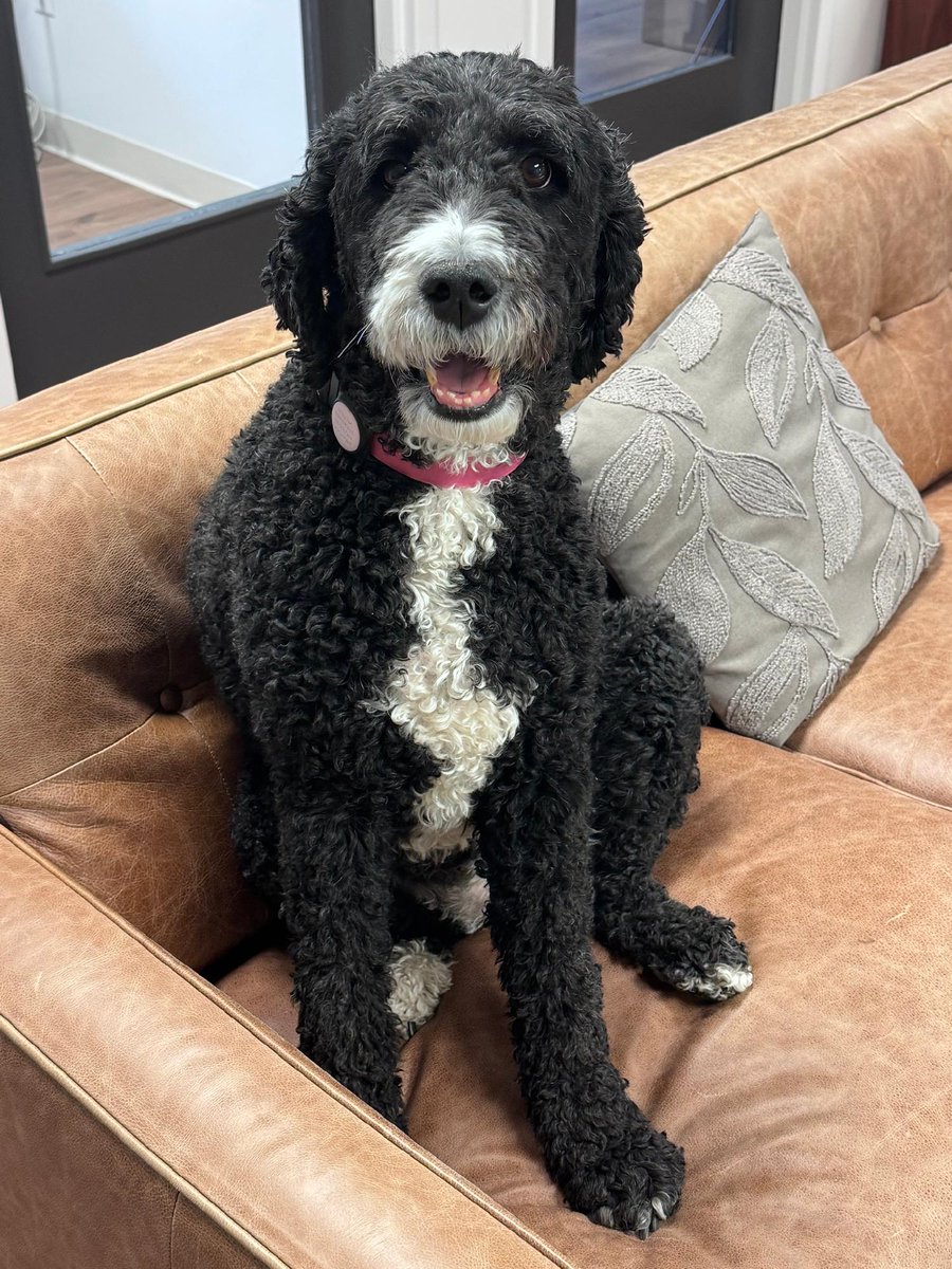 Rob Sand tweet media