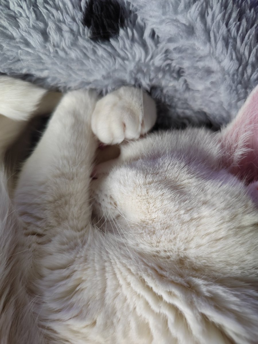 Popsaný papír tweet media