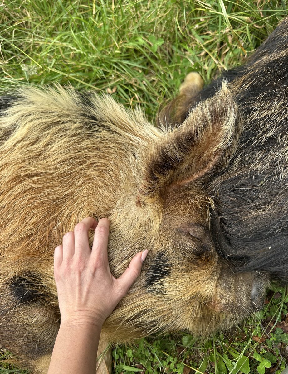 Jaylene🐰 tweet media