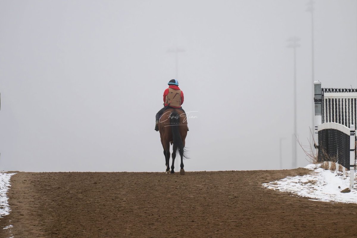 Century Mile tweet media