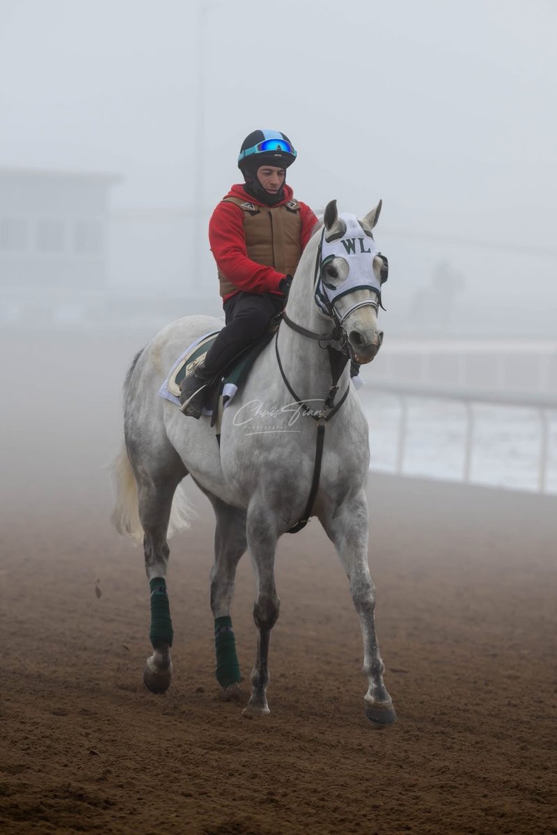 Century Mile tweet media