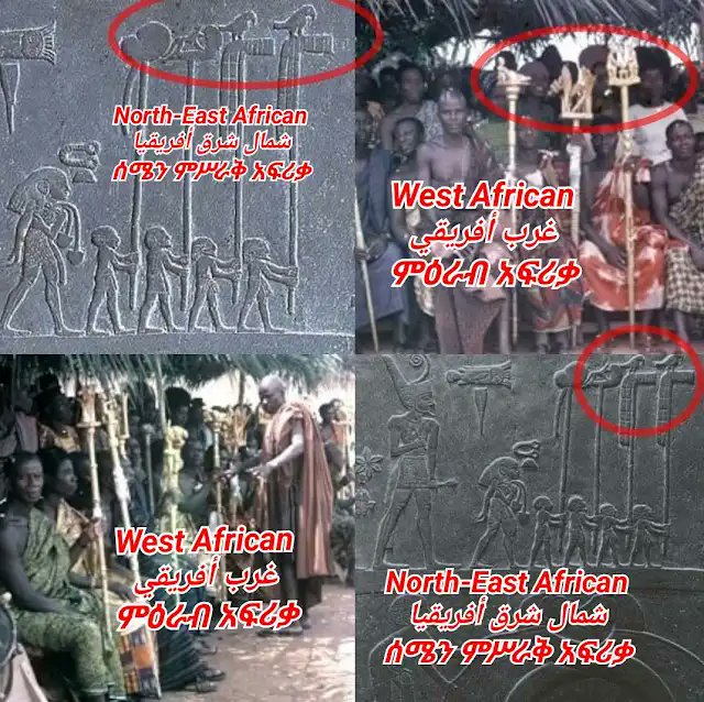 WithoutHistory tweet media