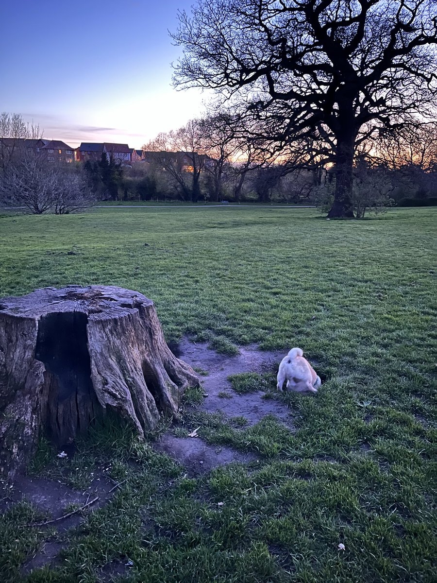 Jayne Manfredi tweet media