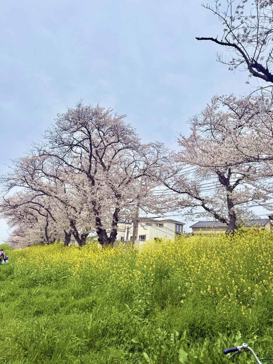 岡ちゃん tweet media