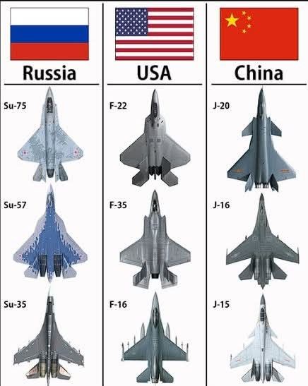 Gun Fanatics tweet media