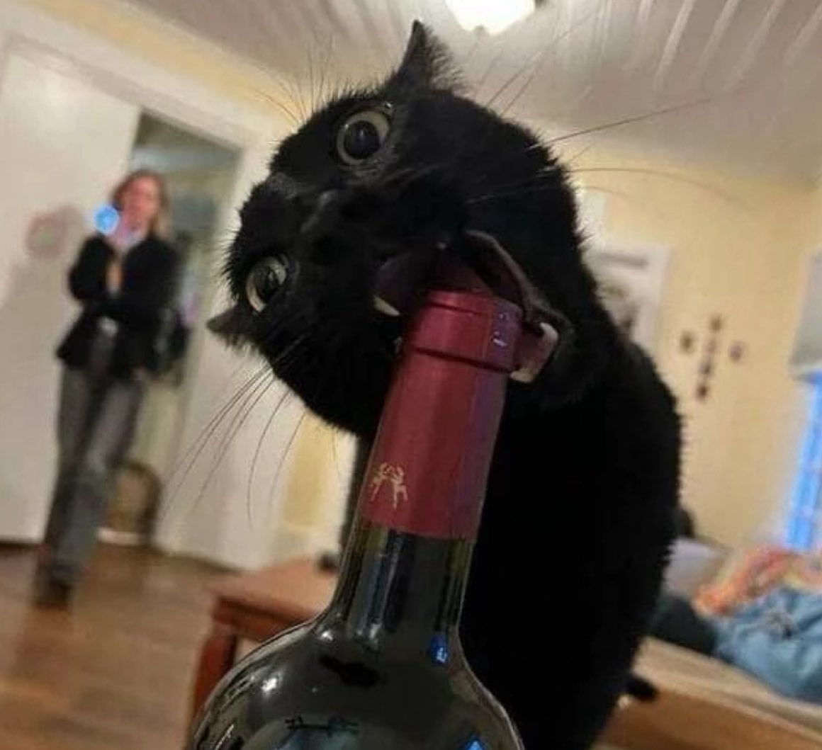 professional cat-ifyer of the HR cast tweet media