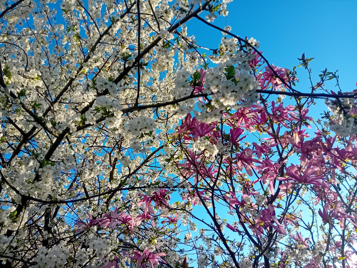 🌾🌞🌾 tweet media