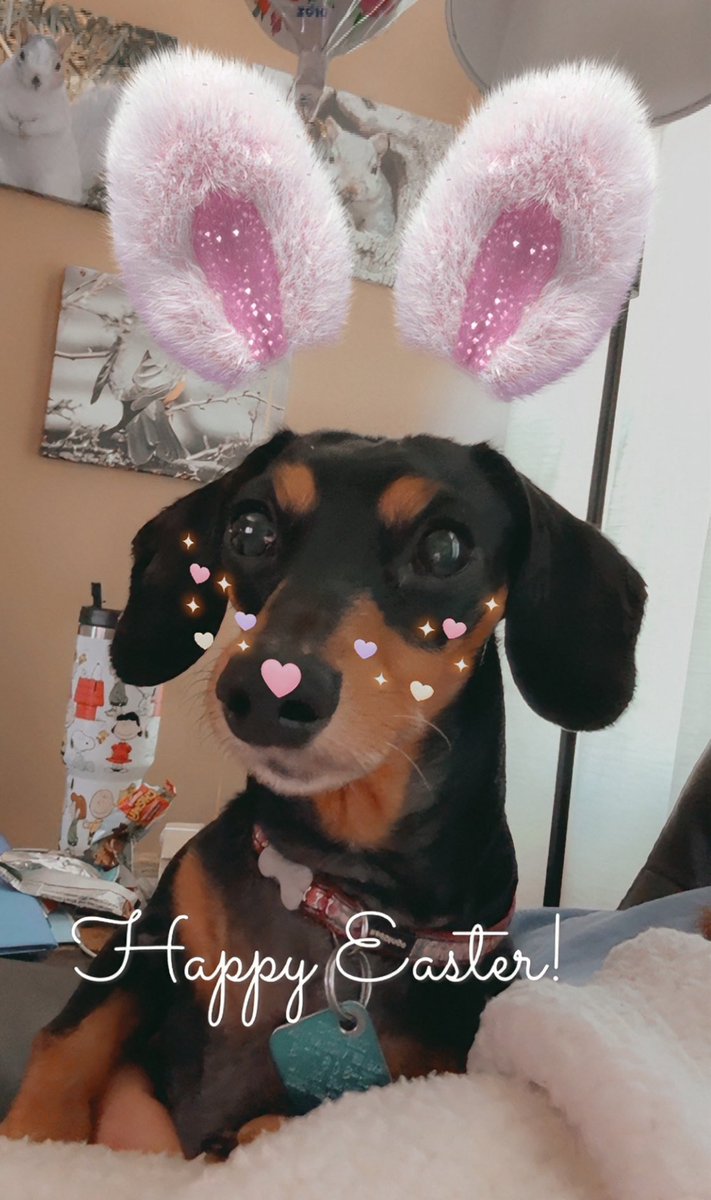 mandyhawk19 tweet media