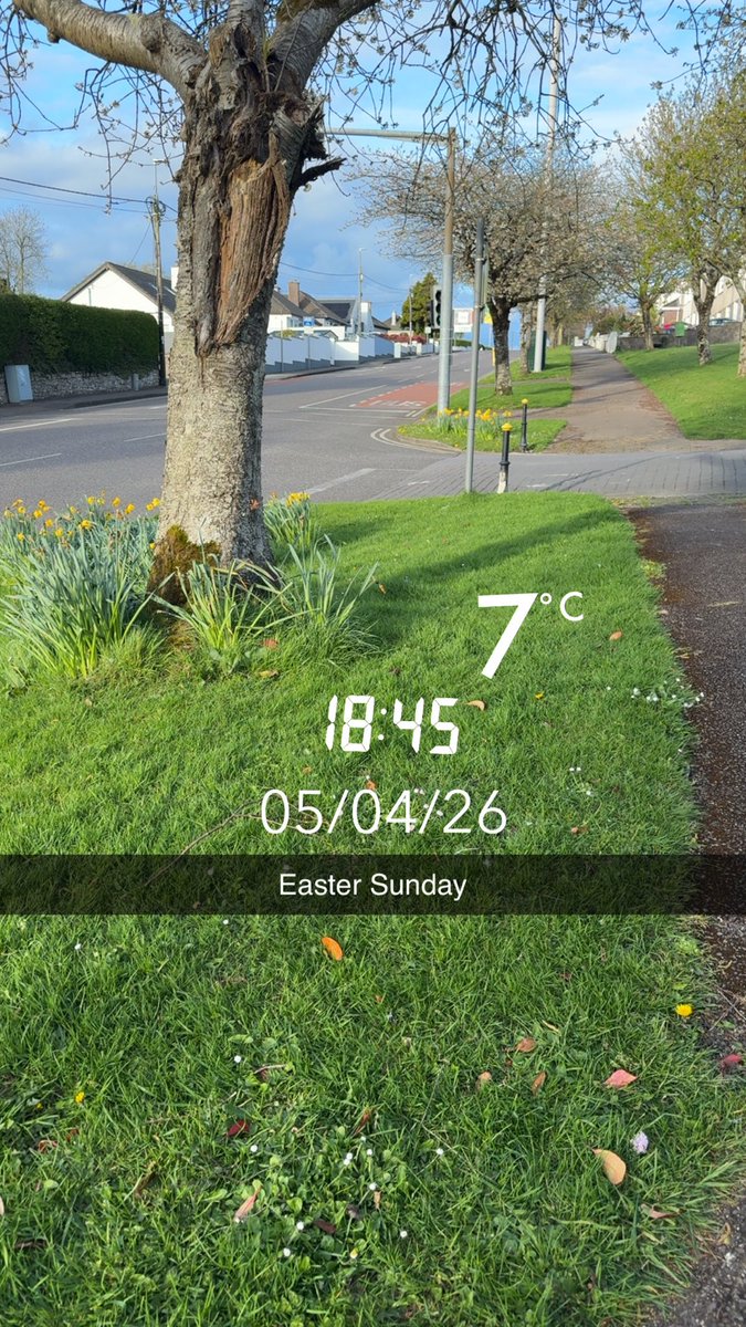 ccfcgirlnickla's tweet photo. #easter #sunday #5april26 #100daysofwalking #day95 #coybig  #eggs  #eastersunday https://t.co/NVvzdyz9HM