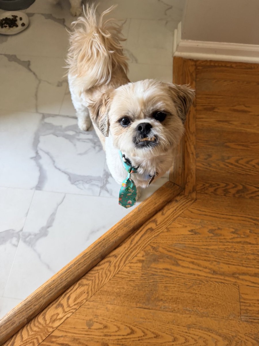 Nick Fatigato tweet media