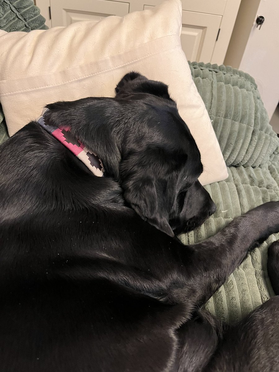 Andy Emery tweet media