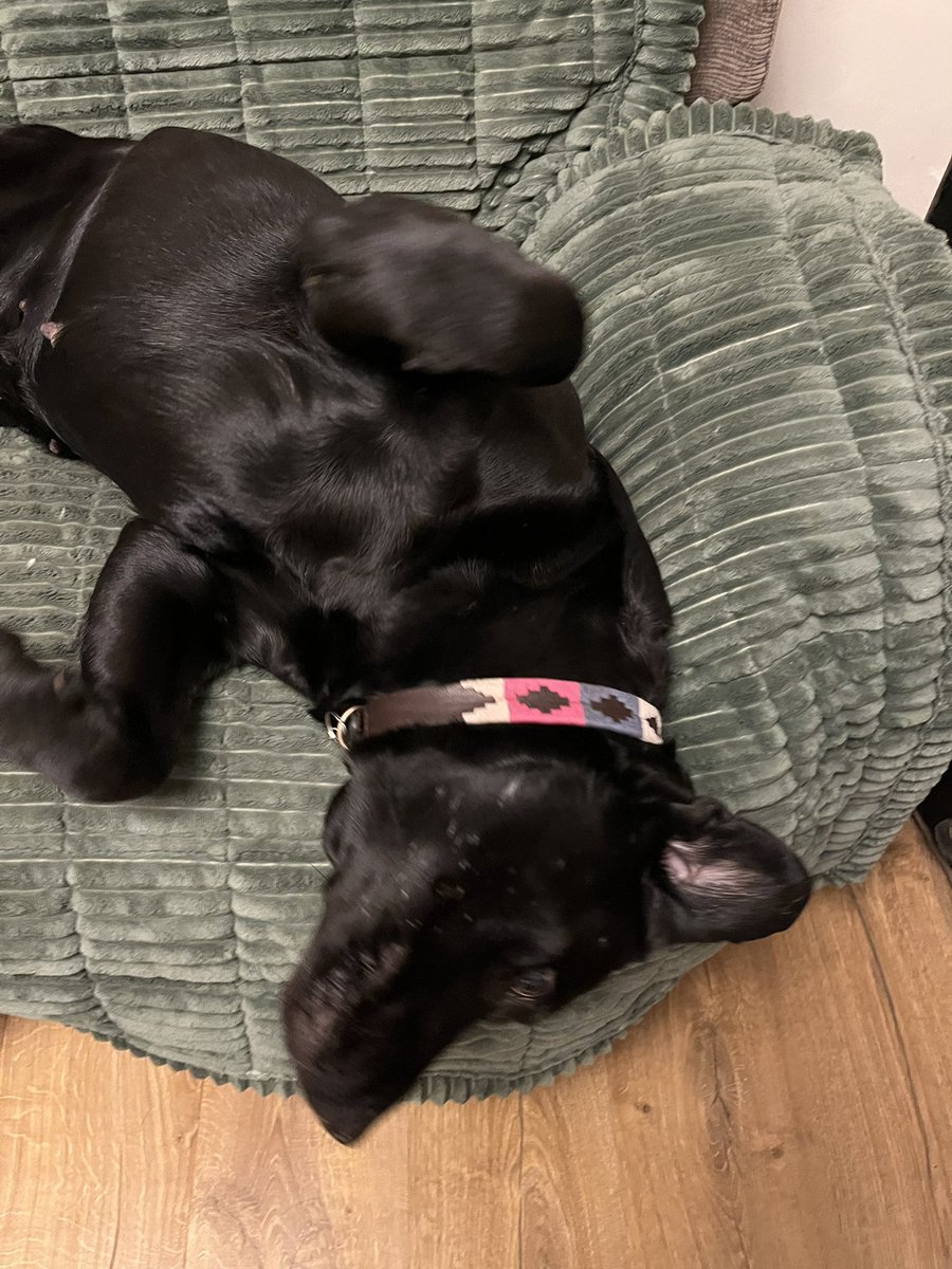 Andy Emery tweet media