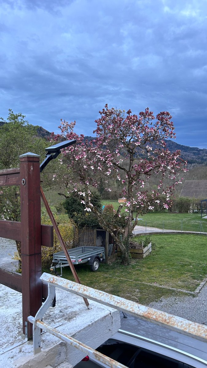 Sophie HELLO tweet media