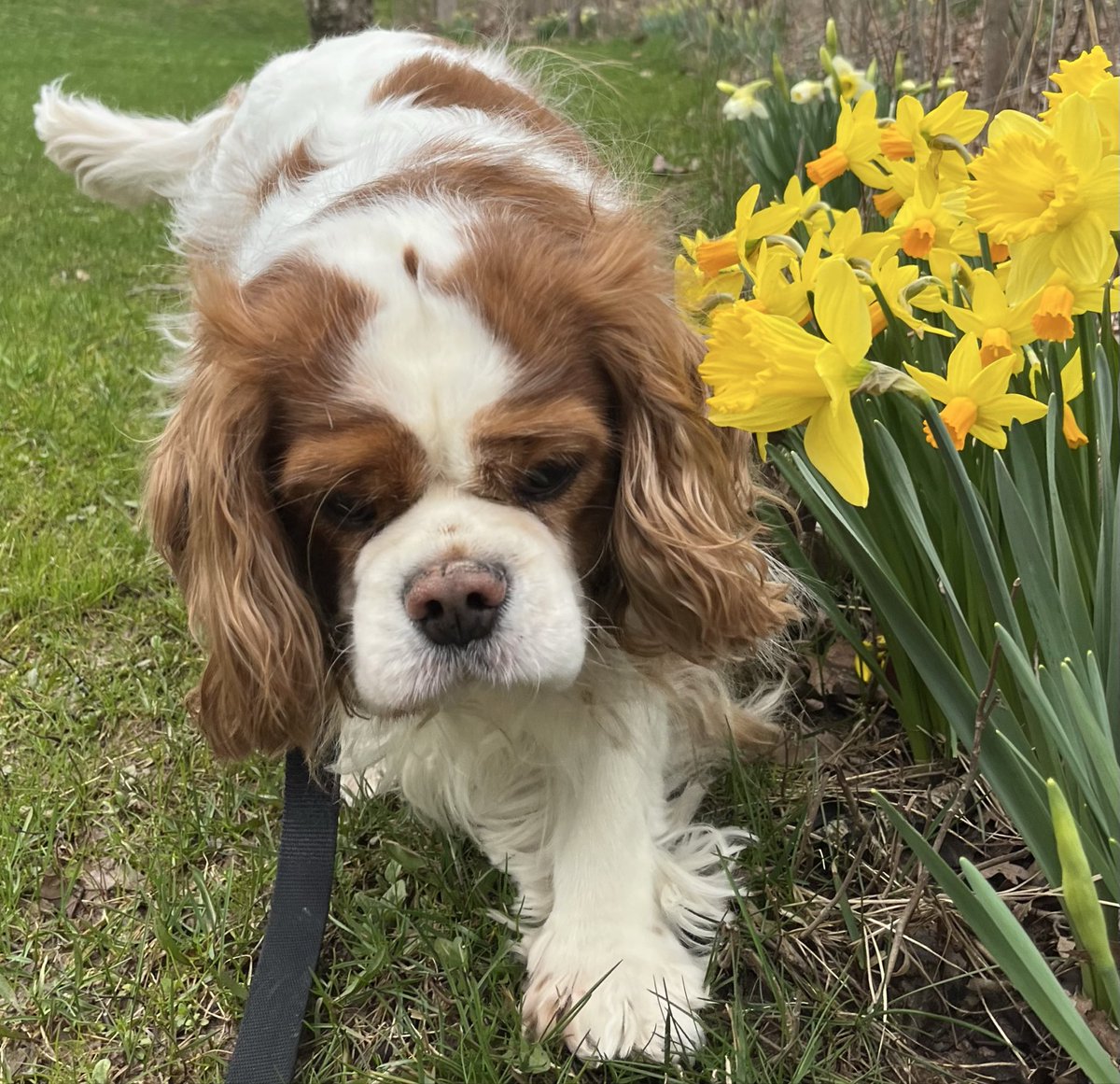 Melissa Ostrom tweet media