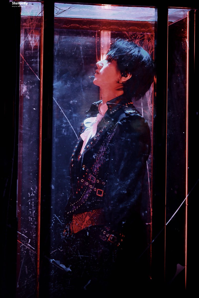 𝗦𝘁𝗲𝗹𝗹𝗮 tweet media