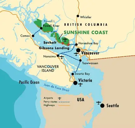 Olly Bosque tweet media