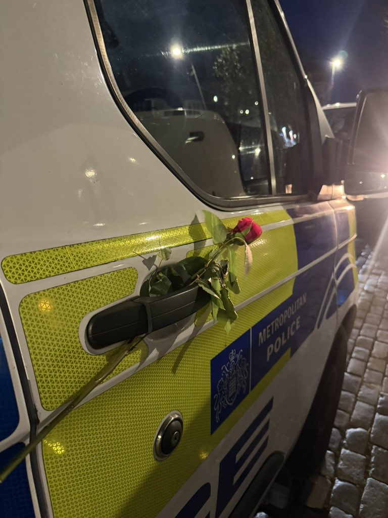 Niyak Ghorbani (نیاک) tweet media