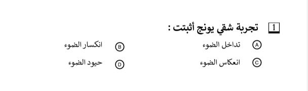 🐈‍⬛🌼 tweet media