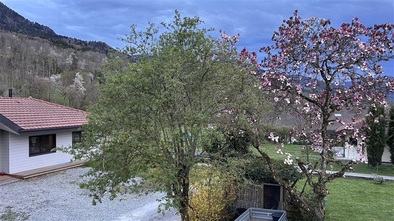 Sophie HELLO tweet media