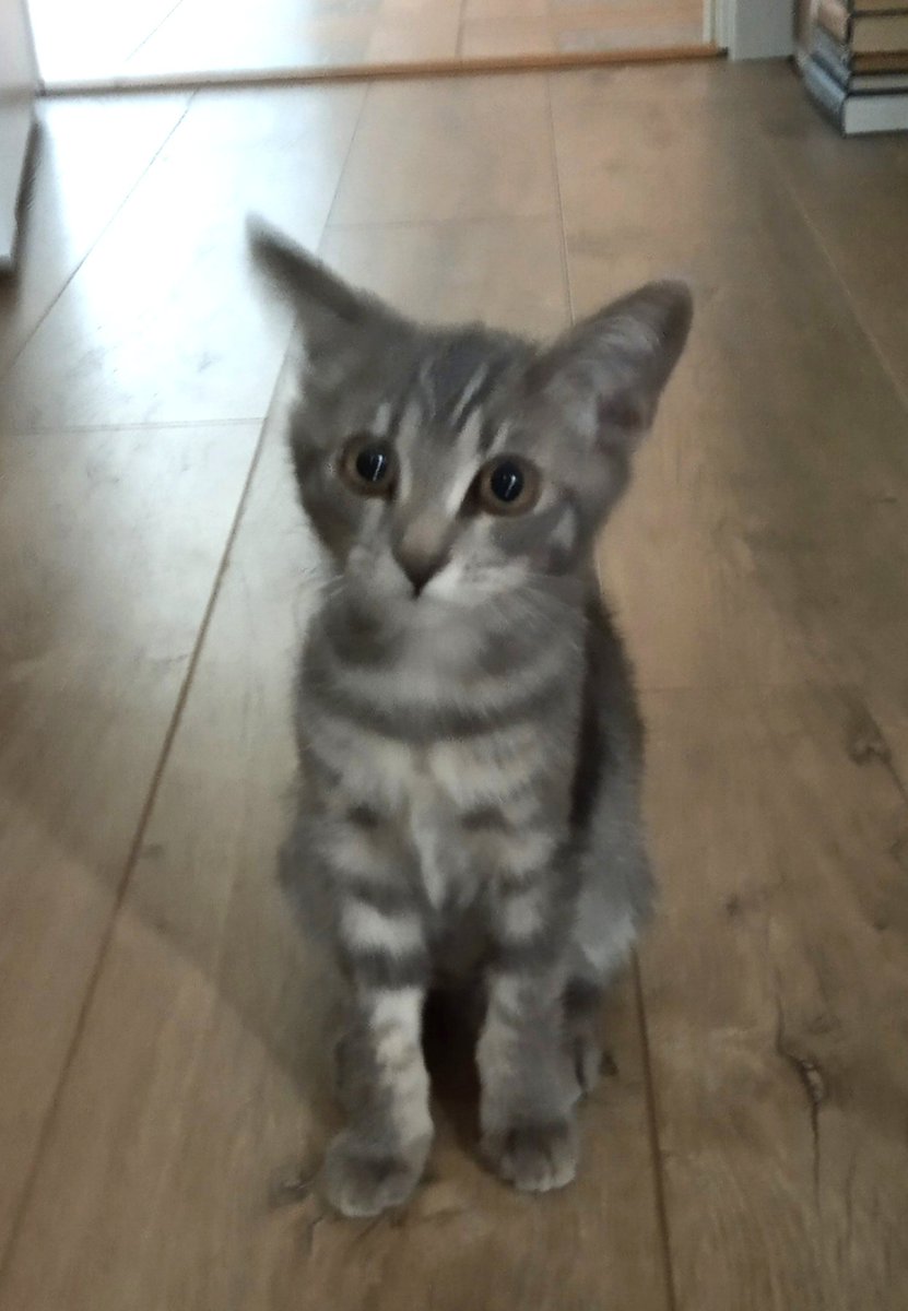 Анюта 🦄 tweet media