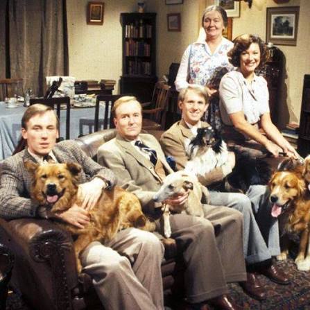 Sean Dineen tweet media