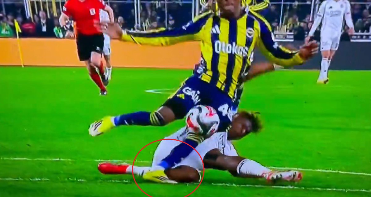 Nurizade Bey tweet media
