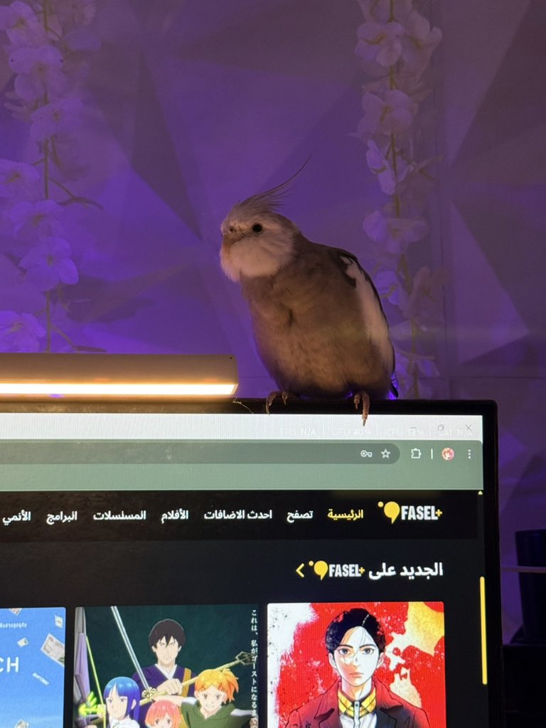 جنىٰ tweet media