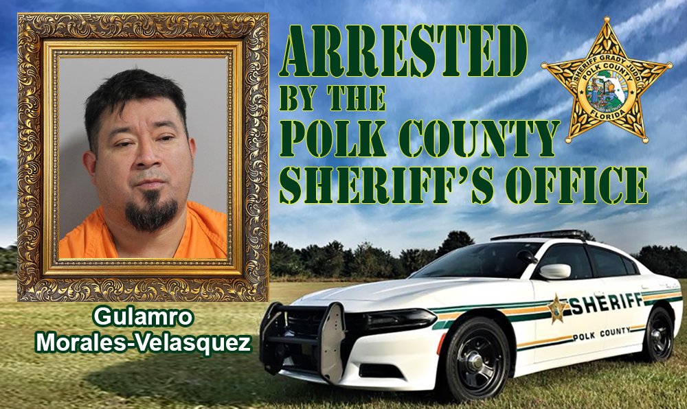 Polk County Sheriff 🚔 Grady Judd tweet media