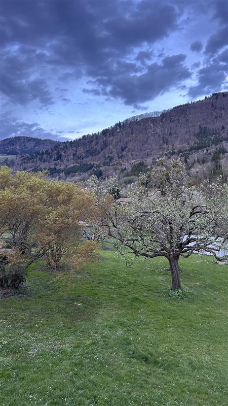 Sophie HELLO tweet media