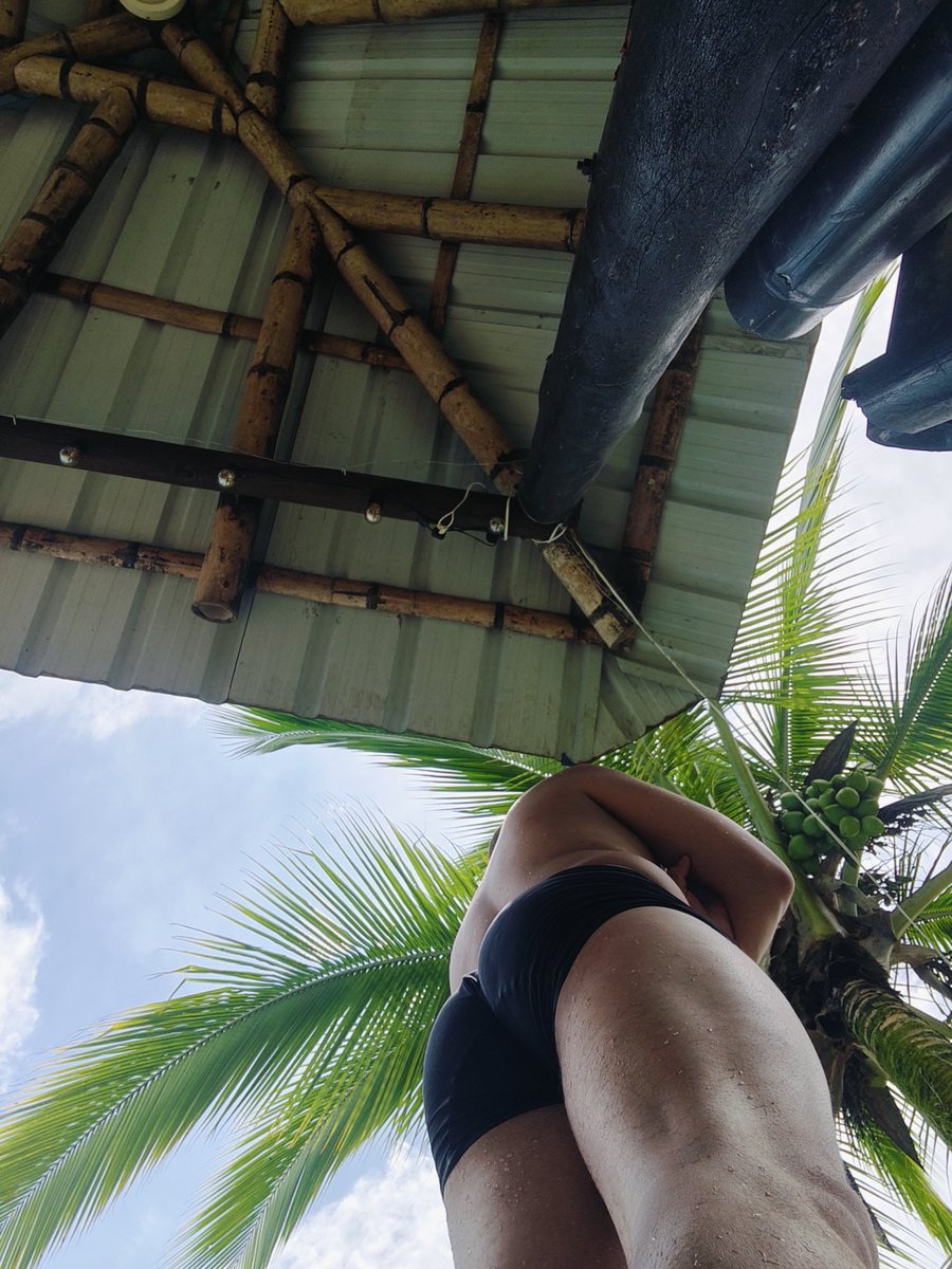 Rayo José ⚡ tweet media