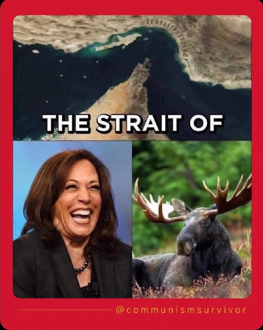 Conservative Outpost tweet media