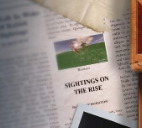 Dynabroth - Roblox Trivia tweet media