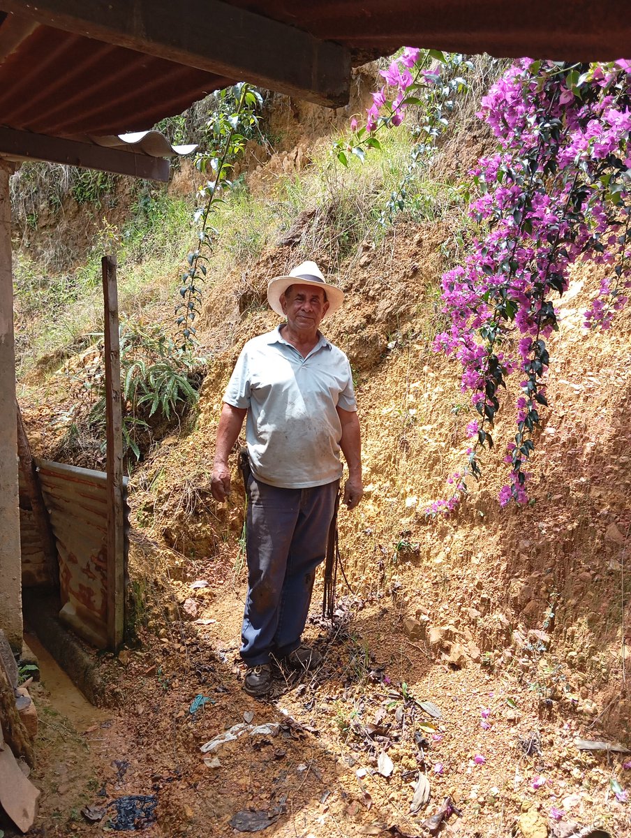 Juancho Sinisterra 🇨🇴 tweet media