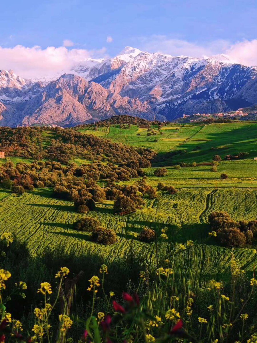 R ۞ 🇩🇿 tweet media