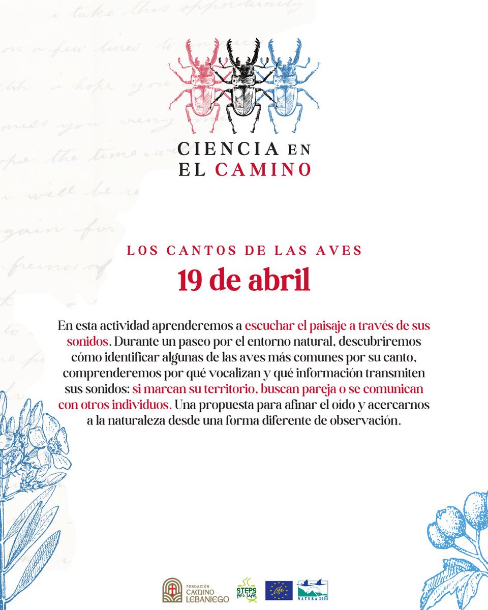 Steps for LIFE tweet media