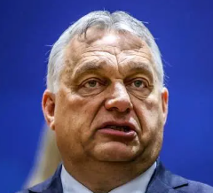 Mirkowy 🇵🇱 tweet media