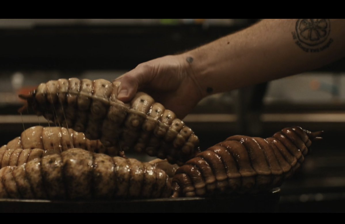 Wizarding World Direct tweet media