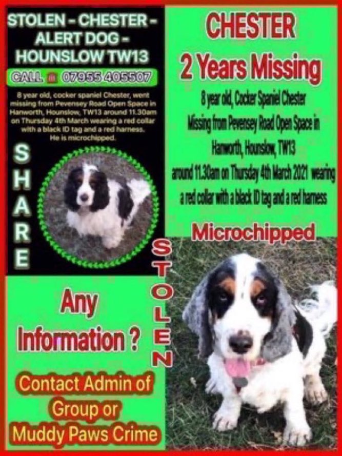 Lisa Clare Read 💙 tweet media