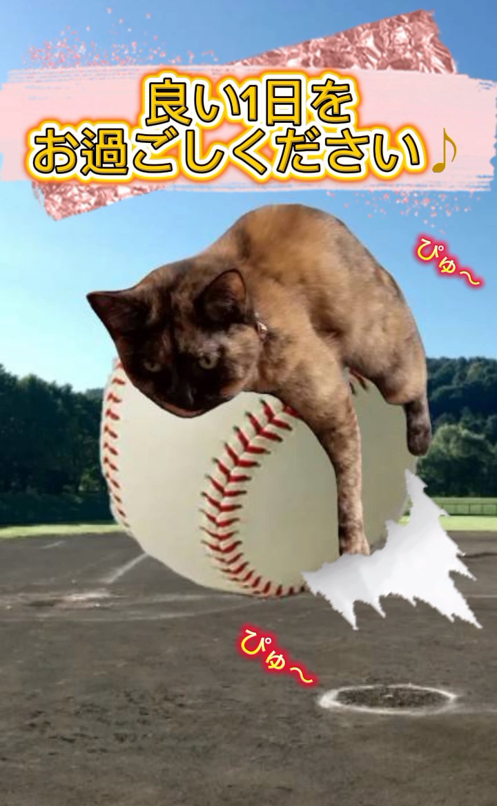 オフィスゆーちー【動画制作、配信クリエイター】 tweet media