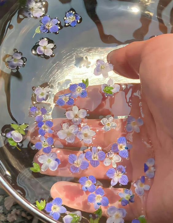 serenity tweet media