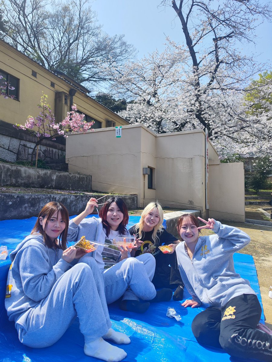 carlos peralta tweet media