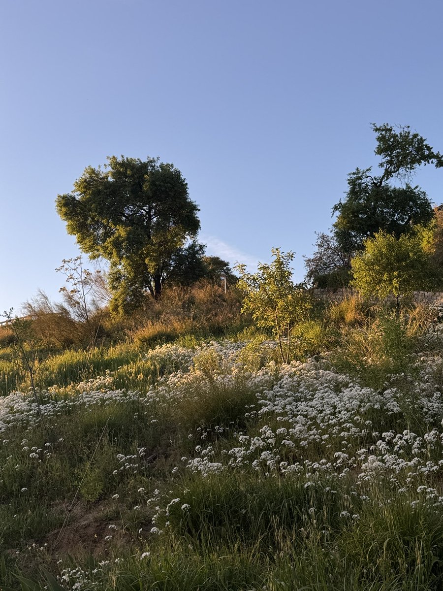 wase💢 tweet media