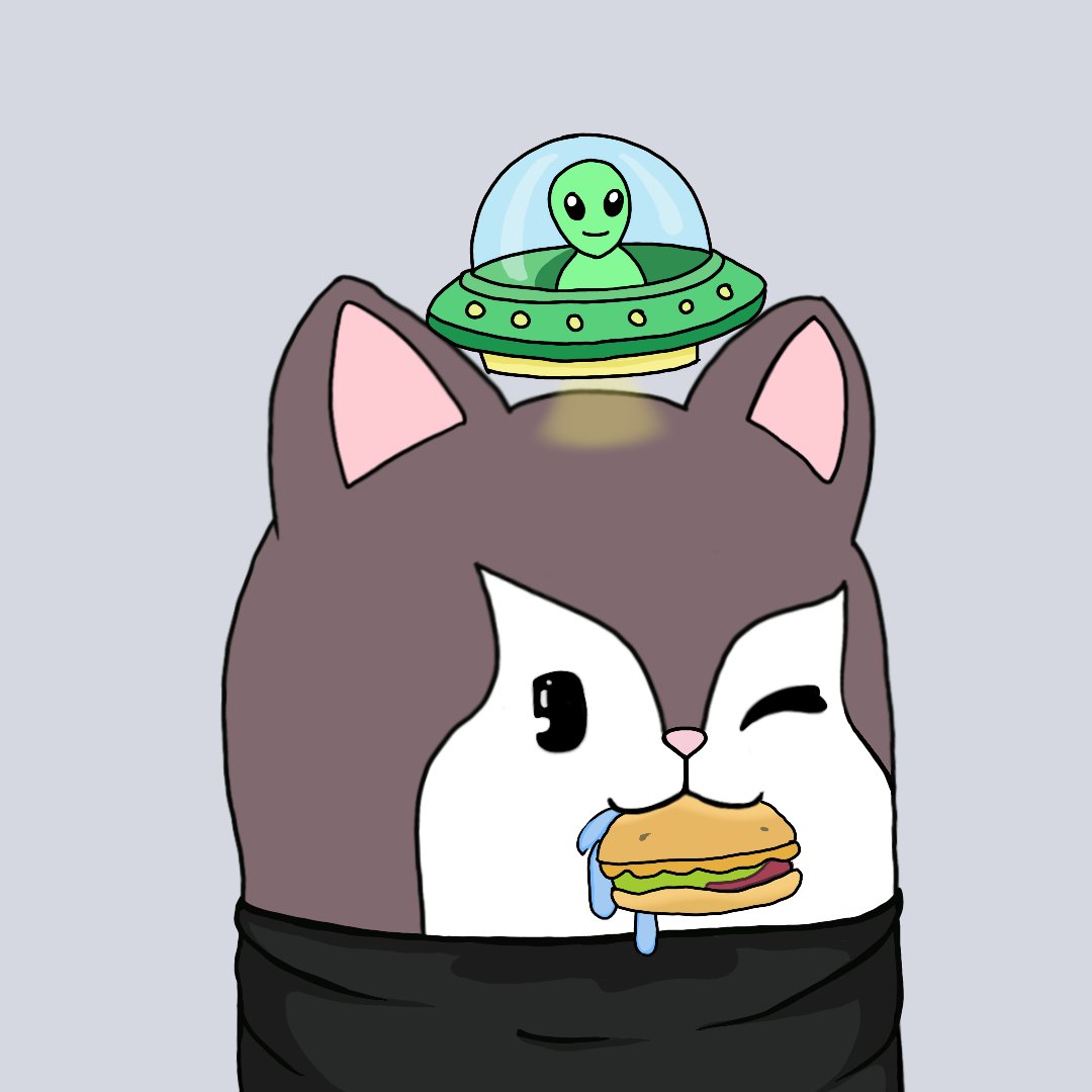 Flip? There are better plays out there.

But if you’re here to hold tight, build with the community, and ride long-term..

Welcome to CITCATS! 🐱