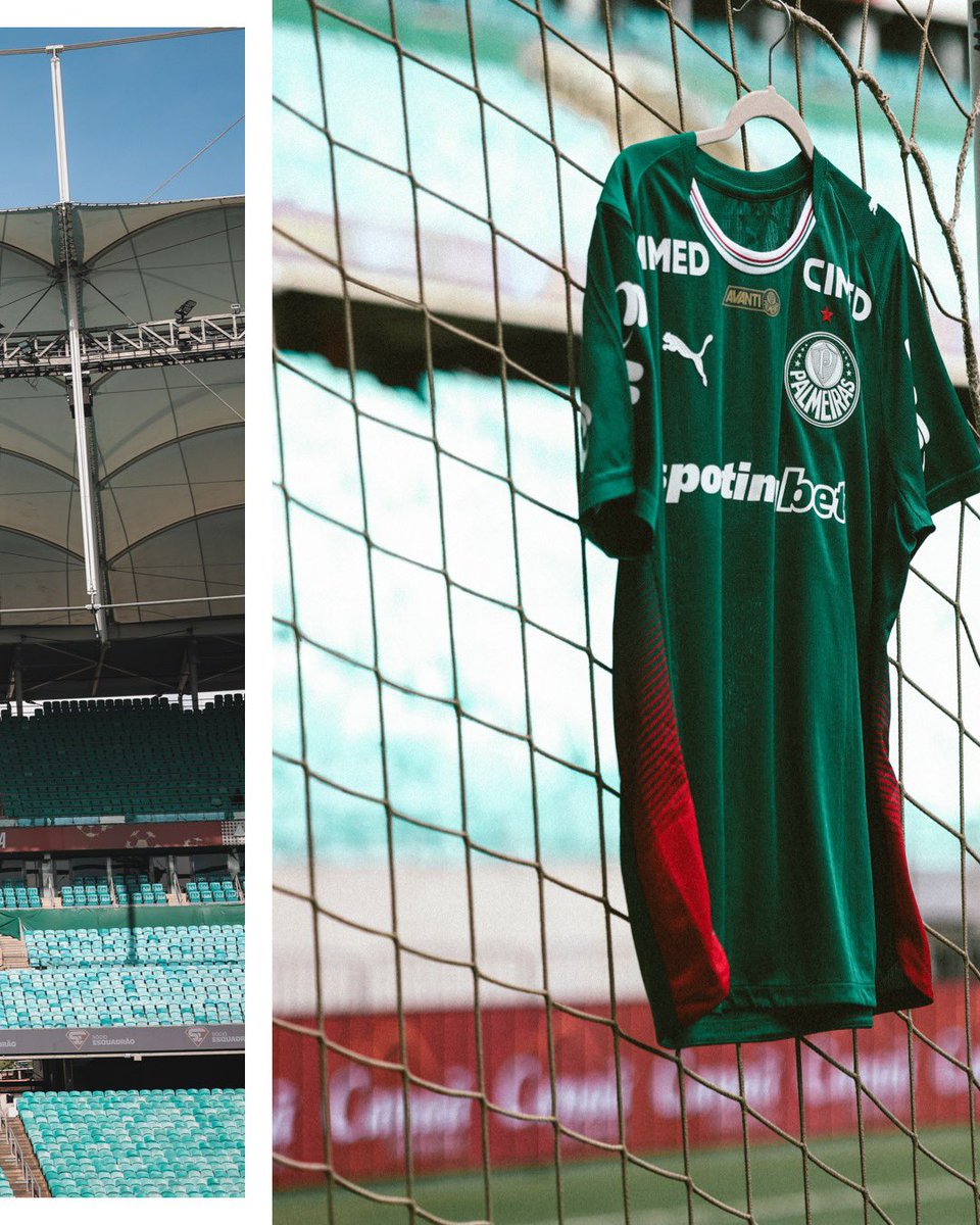 SE Palmeiras tweet media