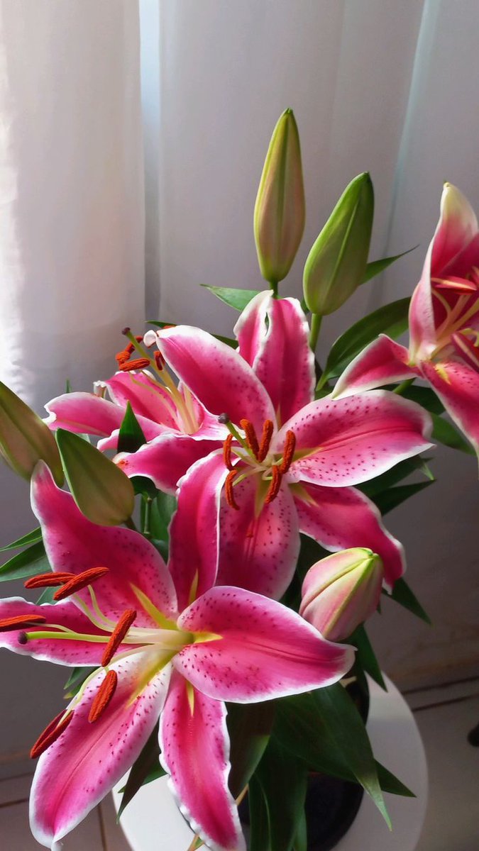 The Dream Vault (@thedream_vault) on Twitter photo 