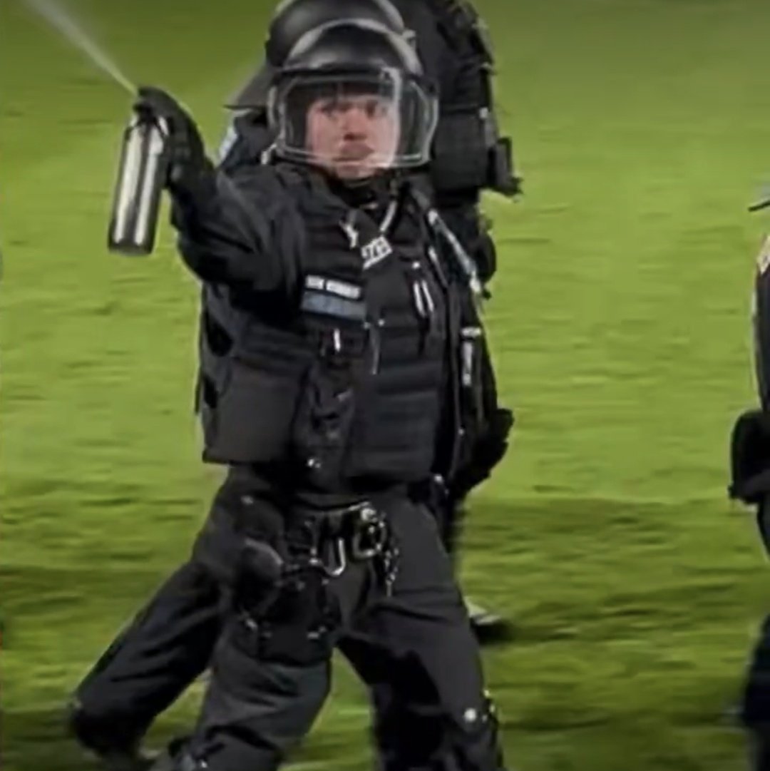 NULLVIER tweet media